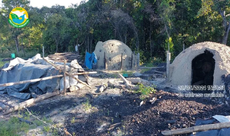 CIPPA/PS realiza grande operação contra desmatamento e produção ilegal de carvão vegetal nos municípios de Mucuri, Nova Viçosa, Caravelas e Teixeira de Freitas