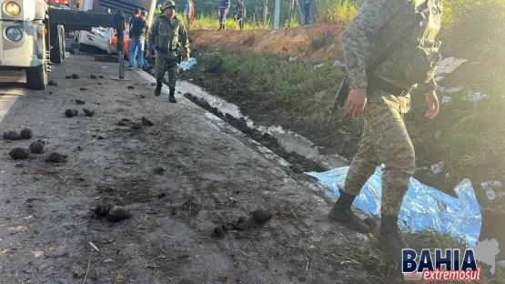 Teixeira de Freitas - Polícia Civil indicia motorista de ônibus que tombou na BR 101 deixando 09 mortos e 18 feridos