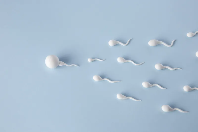Diminuição gradual de sêmen acende alerta para realização de checkup masculino