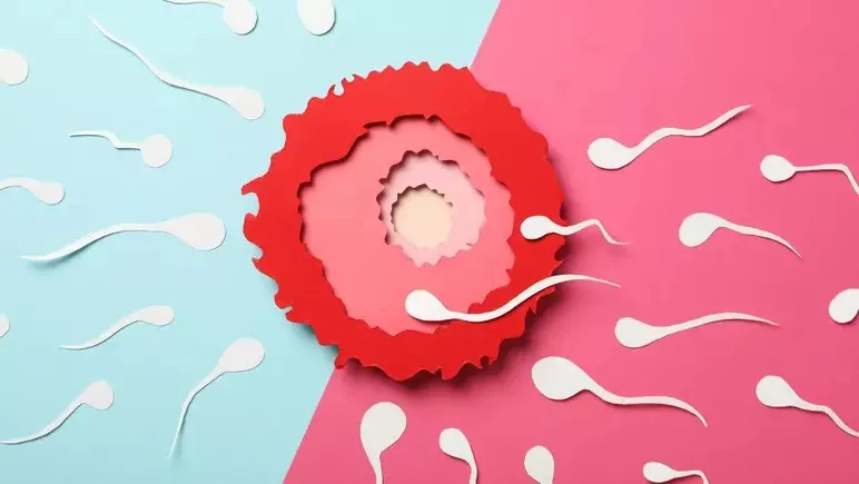 Estamos cada vez mais perto de ter um anticoncepcional masculino? Entenda 