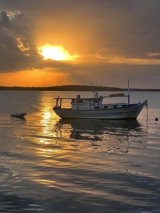 Caravelas Recebe a Temporada das Baleias Jubarte, Impulsionando o Turismo e a Economia Local