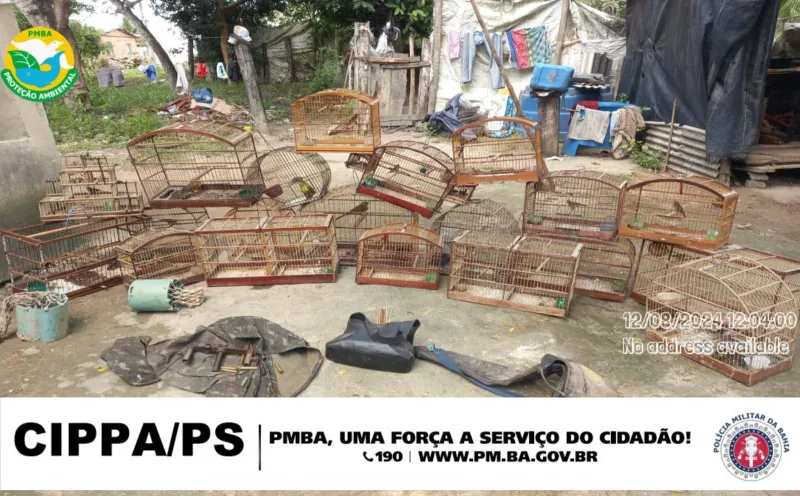 CIPPA/PS desativa Cativeiro Ilegal de Animais Silvestres em Santa Cruz Cabrália