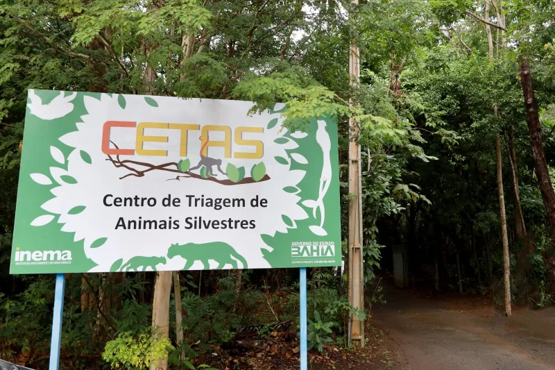 Cetas resgata mais de 3 mil animais silvestres no primeiro semestre e reforça parcerias para a conservação ambiental