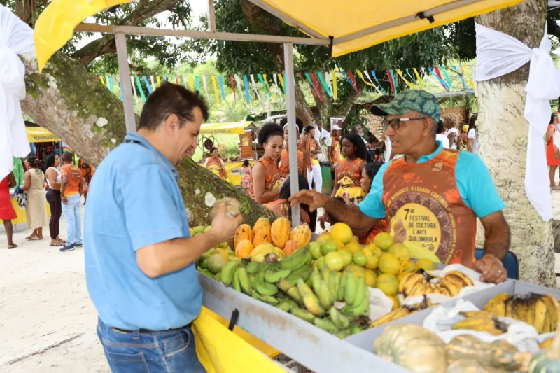 Legado de Mãe Bernadete e celebração da cultura e arte quilombolas marcam festival no Quilombo Pitanga dos Palmares