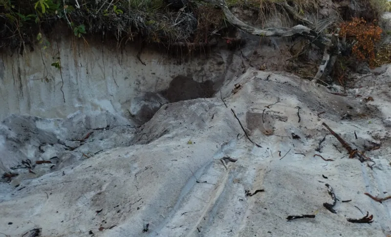 Fiscalização ambiental em Trancoso apreende veículos envolvidos em mineração ilegal