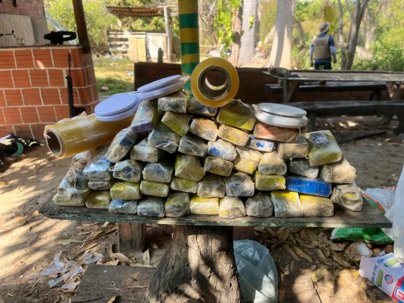 Operação das Polícias Civil e Militar desarticula facção criminosa com onze presos  em muita droga apreendida em Bom Jesus da Lapa