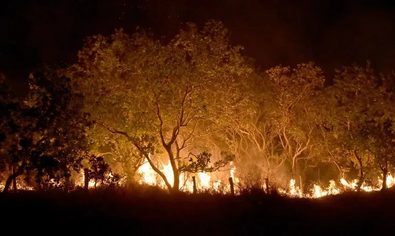 Governo Federal institui novas multas para quem provocar incêndios florestais