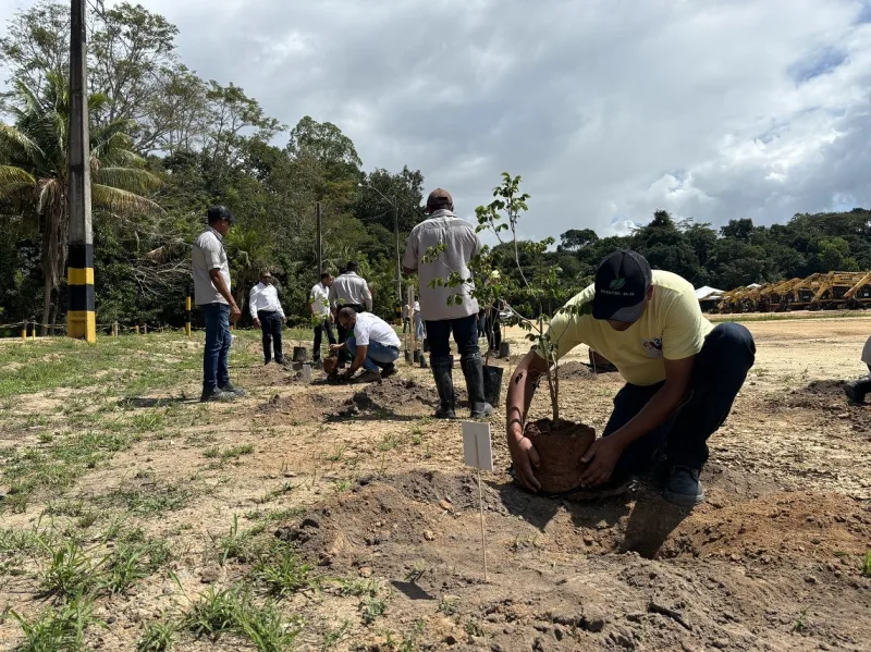 Setembro Amarelo: Plantio de ipês reforça a conscientização sobre a prevenção ao suicídio