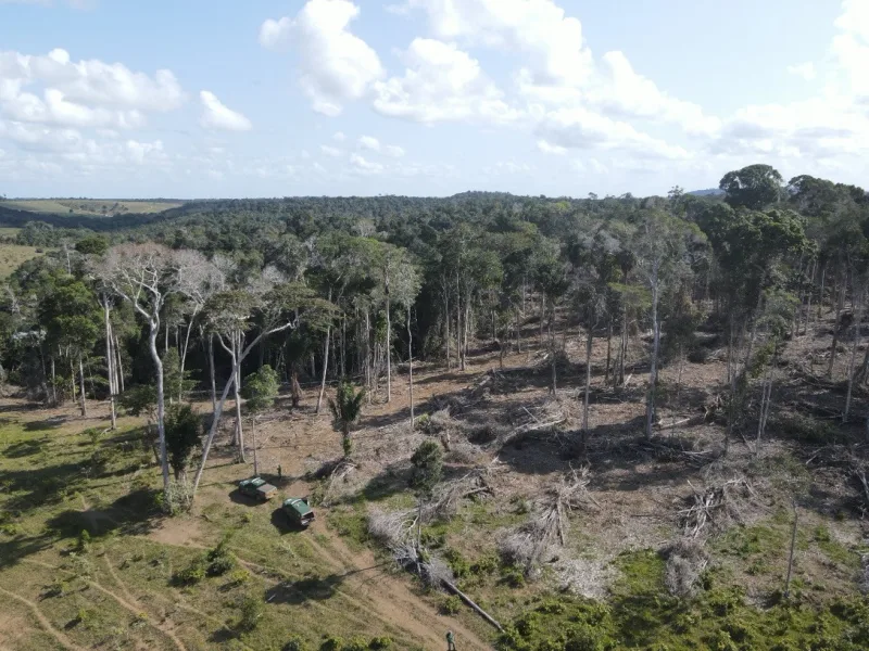 Operação Mata Atlântica em Pé 2024 detecta mais de 500 hectares de áreas desmatadas na Bahia