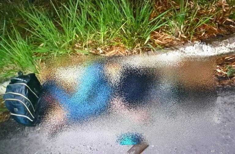 Motociclista morre após colidir com animal na BR-418 em Nova Viçosa