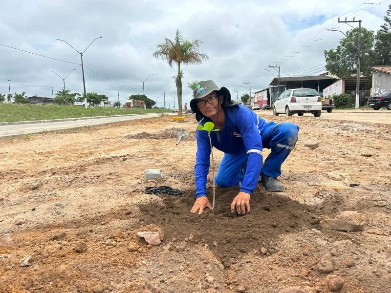 Secretaria de Obras inicia plantio de 50 novas árvores na Avenida Brasil, em Itabatã