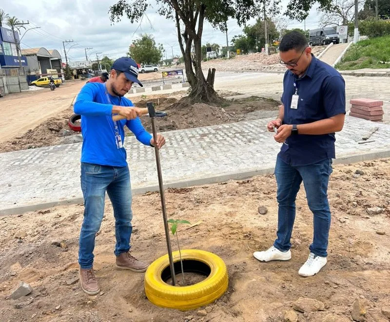 Secretaria de Obras inicia plantio de 50 novas árvores na Avenida Brasil, em Itabatã