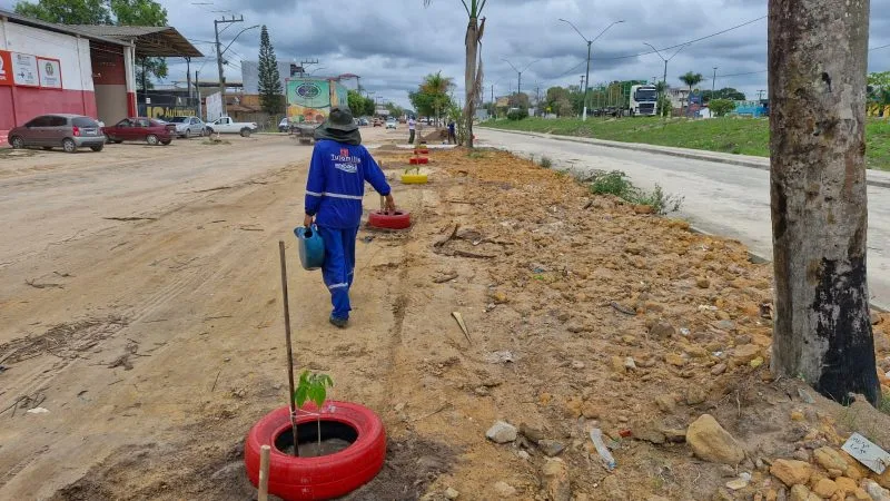 Secretaria de Obras inicia plantio de 50 novas árvores na Avenida Brasil, em Itabatã