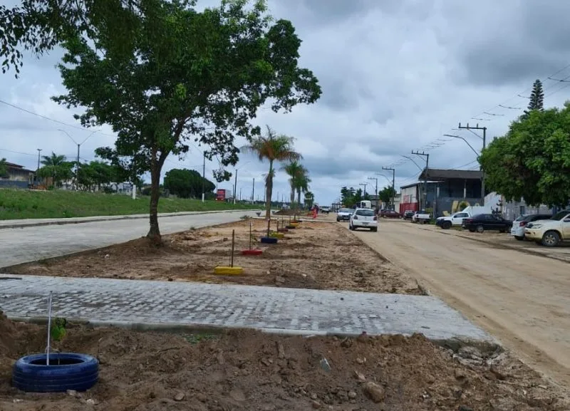 Secretaria de Obras inicia plantio de 50 novas árvores na Avenida Brasil, em Itabatã