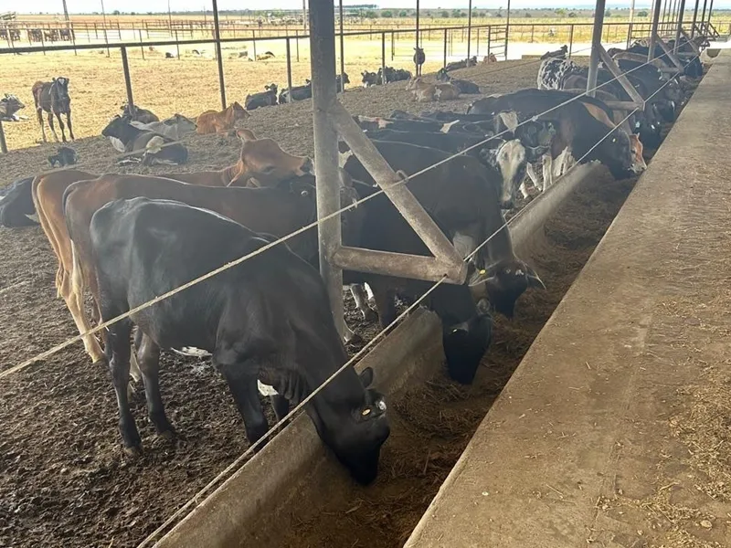 Empresário Lutz Viana visita Fazenda Porteira Azul, maior produtora de leite do Laticínios Davaca