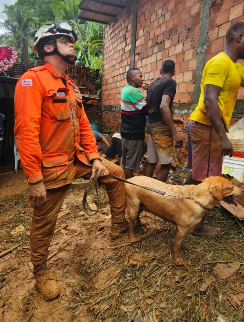 Copro de estufante que desapreceu em bueiro na cidade de Dias D'Vila e encontrado.  Resgate de vítimas em Salvador evidencia trabalho especializado de bombeiros militares