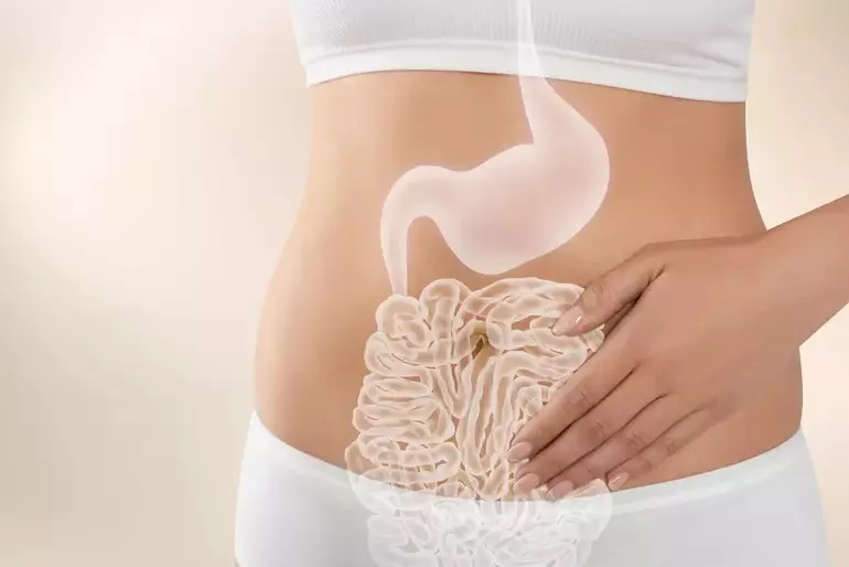 Saúde intestinal e fertilidade: uma conexão complexa  