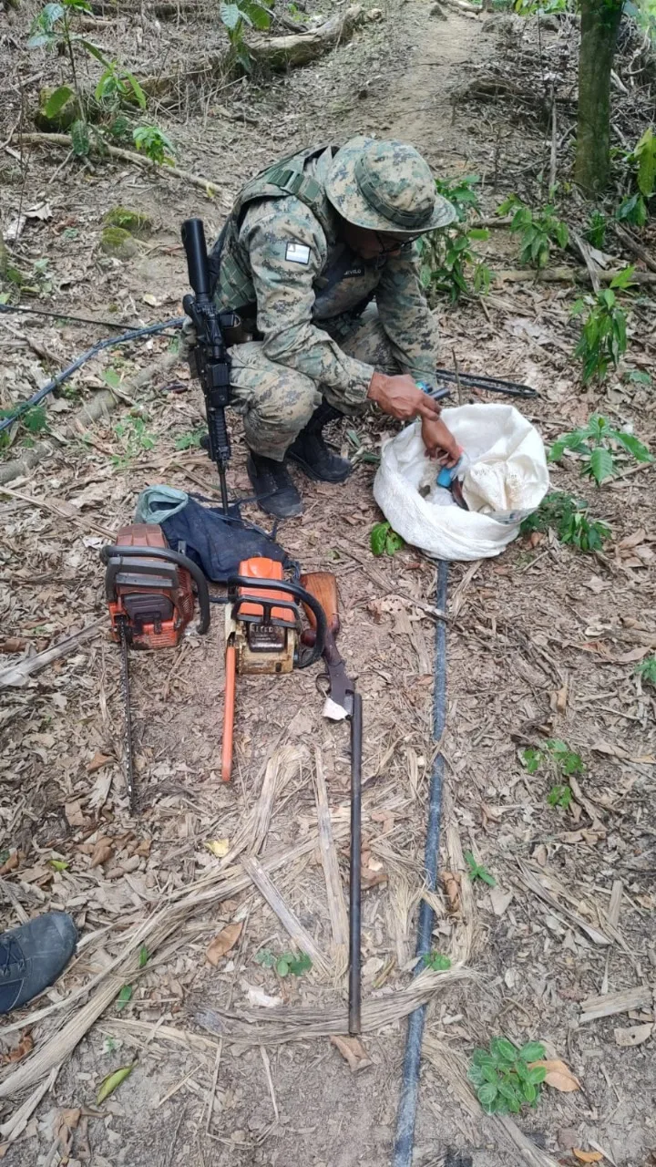 Operação no Parque Nacional do Alto Cariri resulta em prisão por crimes ambientais e apreensão de arma de fogo