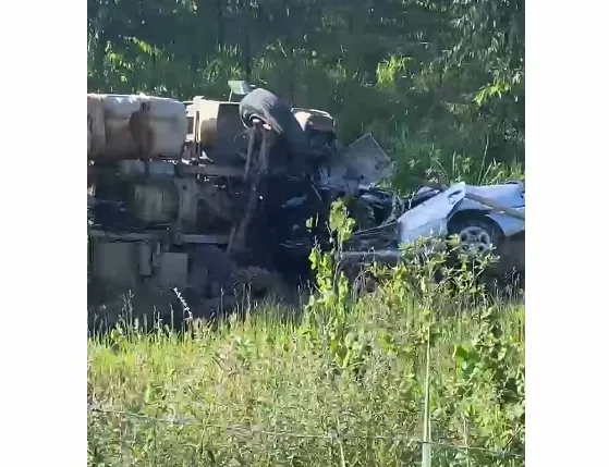 Motorista morre após colisão com carreta na BR-418 em Posto da Mata