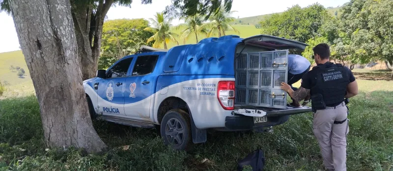 Polícia Civil de Itamaraju prende suspeitos de envolvimento em homicídio no interior de Itamaraju