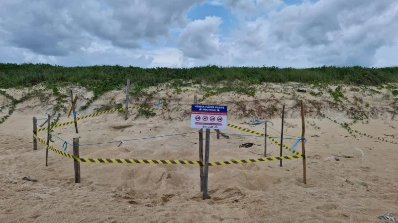 Prefeitura de Mucuri instala placas para proteger Tartarugas Marinhas na Orla