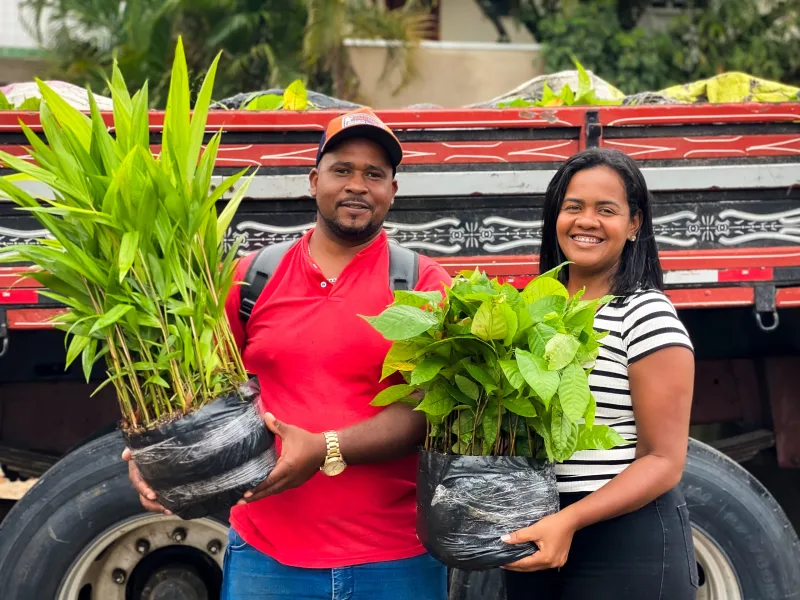 Prefeitura de Prado recebe 15 mil mudas de cacau e açaí para fortalecer agricultura familiar