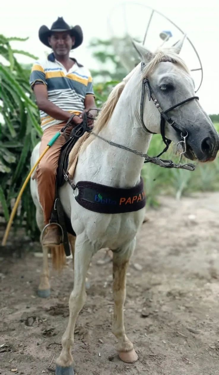 Grave acidente em Nova Viçosa deixa uma vítima fatal e outra gravemente ferida