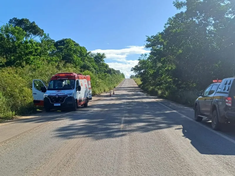 Motorista tenta desviar de cachorro capota carro e deixa quatro feridos na BR 418 em Caravelas