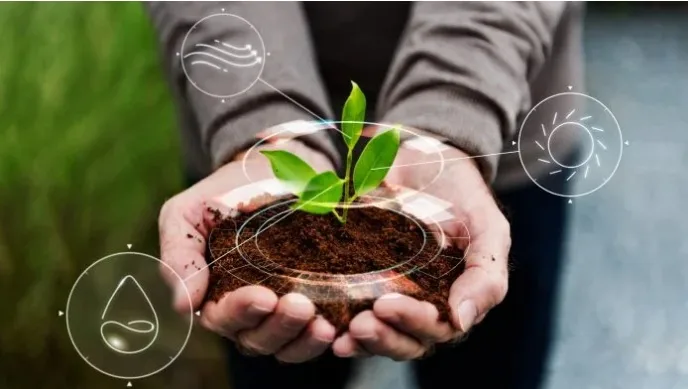 Sema oferece mais de 2 mil vagas em cursos gratuitos de gestão ambiental