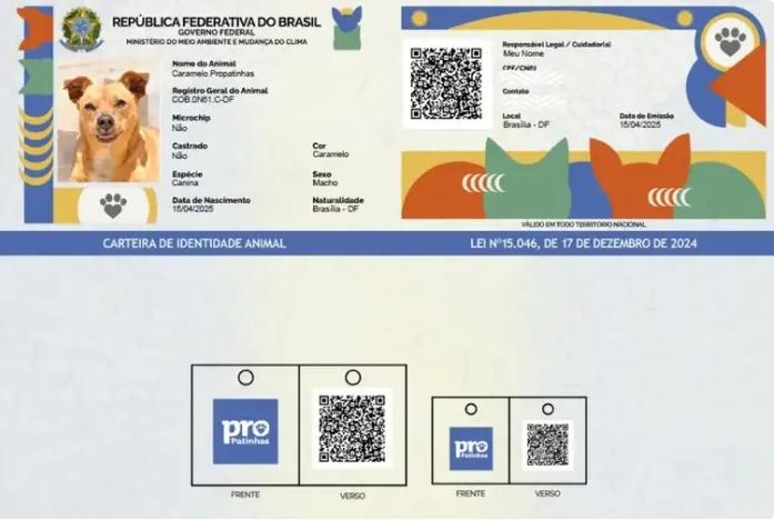 Saiba como funciona o SinPatinhas, novo RG Animal para cães e gatos