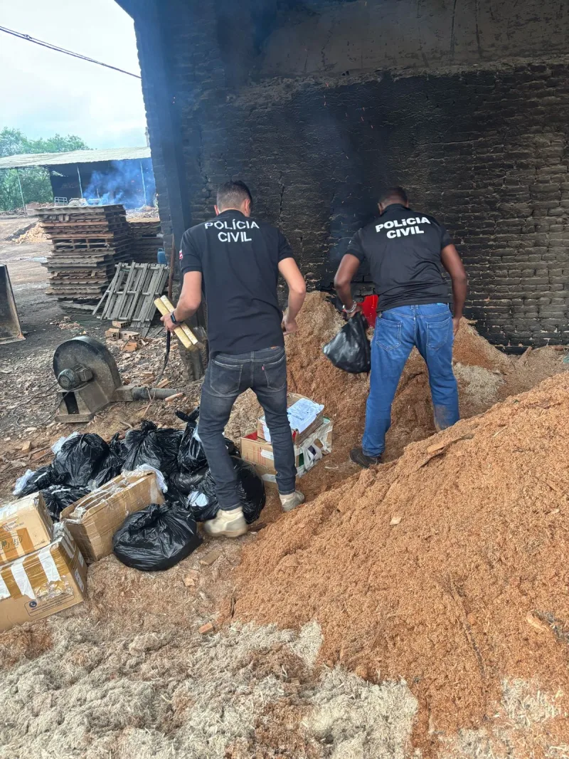Polícia Civil incinera mais de 170 kg de drogas em Teixeira de Freitas