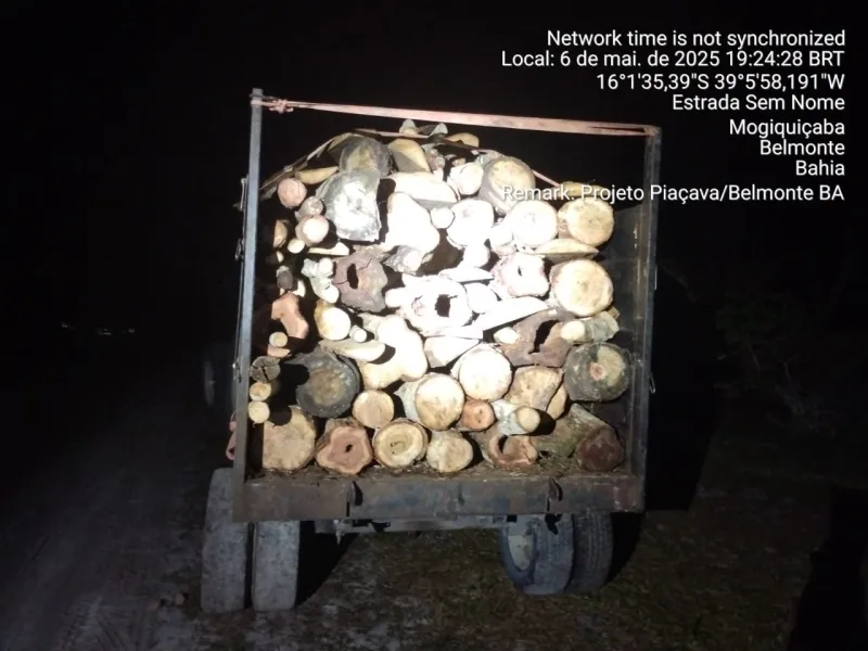 CIPPA/Porto Seguro flagra transporte ilegal de madeira na zona rural de Barrolândia