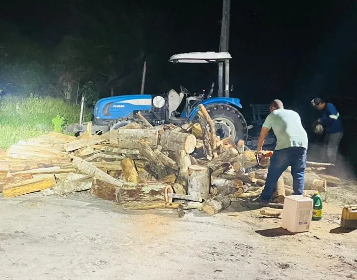 CIPPA/Porto Seguro flagra transporte ilegal de madeira na zona rural de Barrolândia