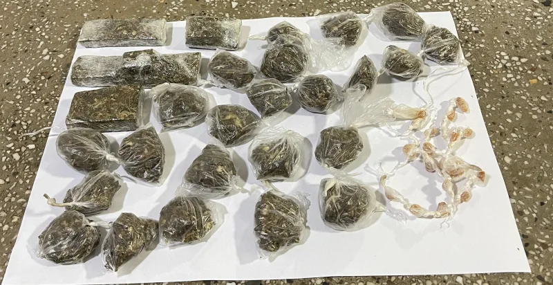 Polícia Militar apreende drogas em Teixeira de Freitas; uma mulher foi presa