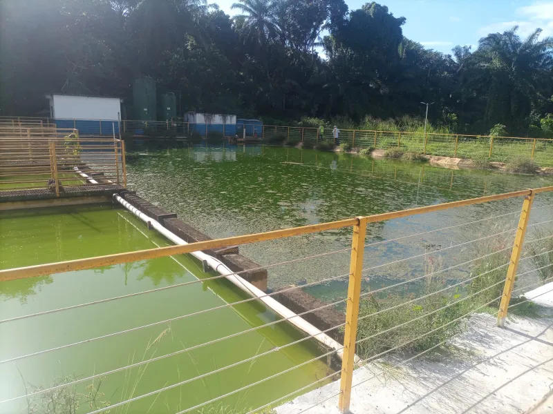 CIPPA/PORTO SEGURO e Inema investigam mortandade de animais no Rio Itacanoeira,em Ilhéus 