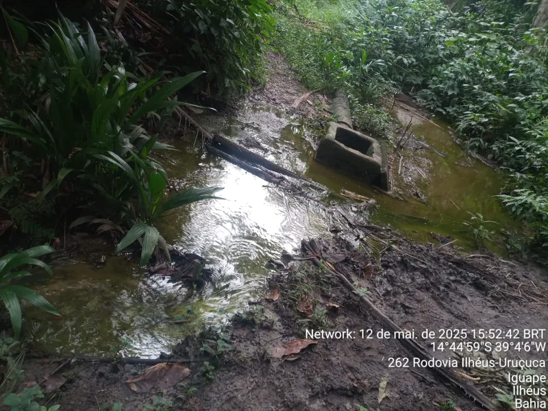 CIPPA/PORTO SEGURO e Inema investigam mortandade de animais no Rio Itacanoeira,em Ilhéus 