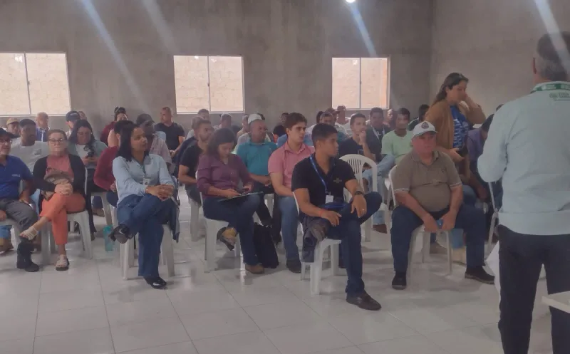 Seminário reúne parceiros para fortalecer cadeia produtiva da mandioca em Alcobaça