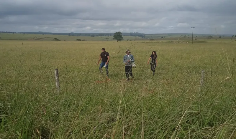 Vídeo - Tio suspeito de estuprar sobrinha de 12 anos é preso em Lajedão