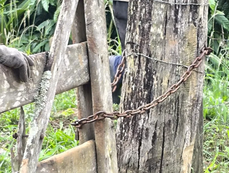 Trabalhadores em condições análogas à escravidão são resgatados pela Polícia Civil na zona rural de Guaratinga