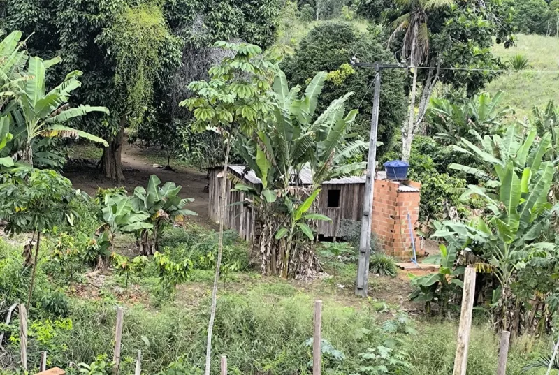 Trabalhadores em condições análogas à escravidão são resgatados pela Polícia Civil na zona rural de Guaratinga