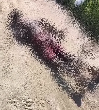 Corpo com sinais de tortura é encontrado em estrada vicinal de Porto Seguro