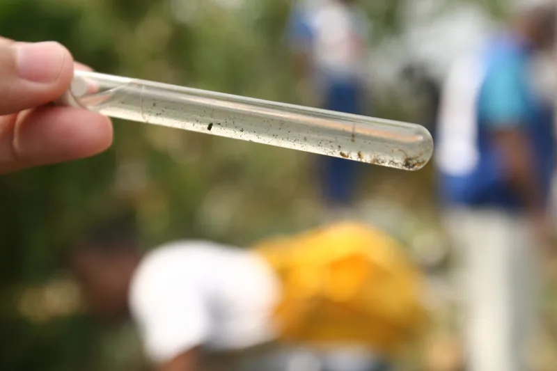 Bahia tem redução de mais 90% nos casos de dengue e Chikungunya