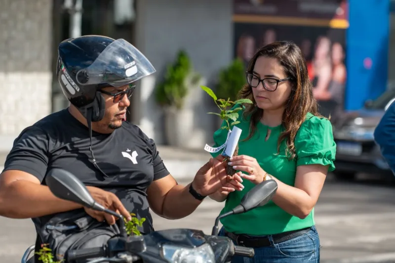 Prefeitura de Teixeira de Freitas inicia Mês do Meio Ambiente com drive thru de mudas nativas da Mata Atlântica; confira programação
