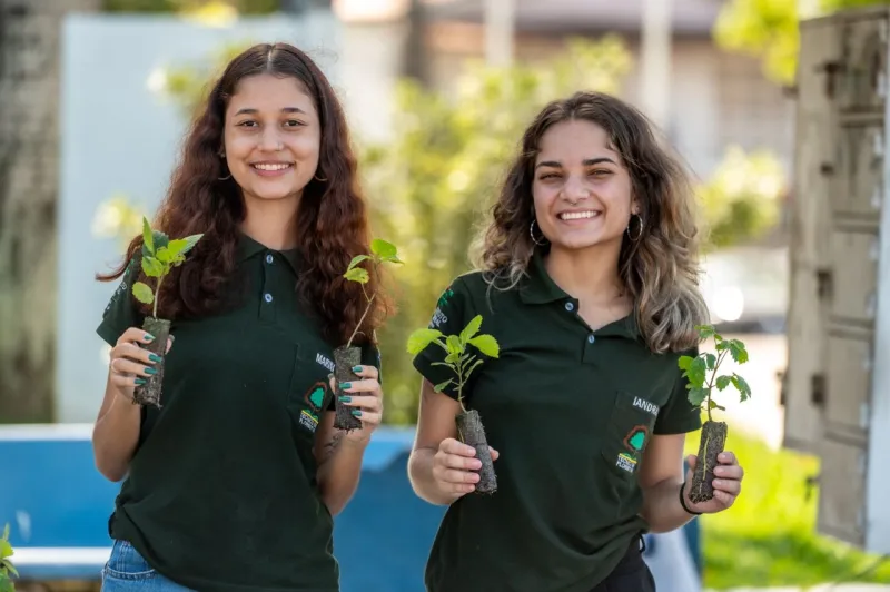 Prefeitura de Teixeira de Freitas inicia Mês do Meio Ambiente com drive thru de mudas nativas da Mata Atlântica; confira programação
