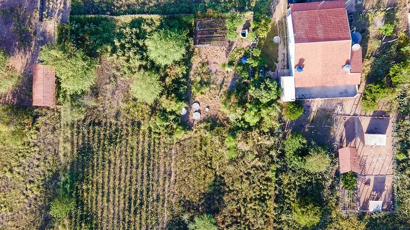 Bahia celebra o Dia Mundial do Meio Ambiente com avanços em sustentabilidade, conservação e geração de renda