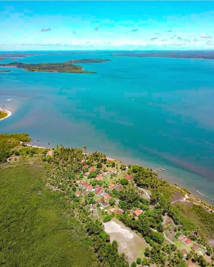 Bahia celebra o Dia Mundial do Meio Ambiente com avanços em sustentabilidade, conservação e geração de renda