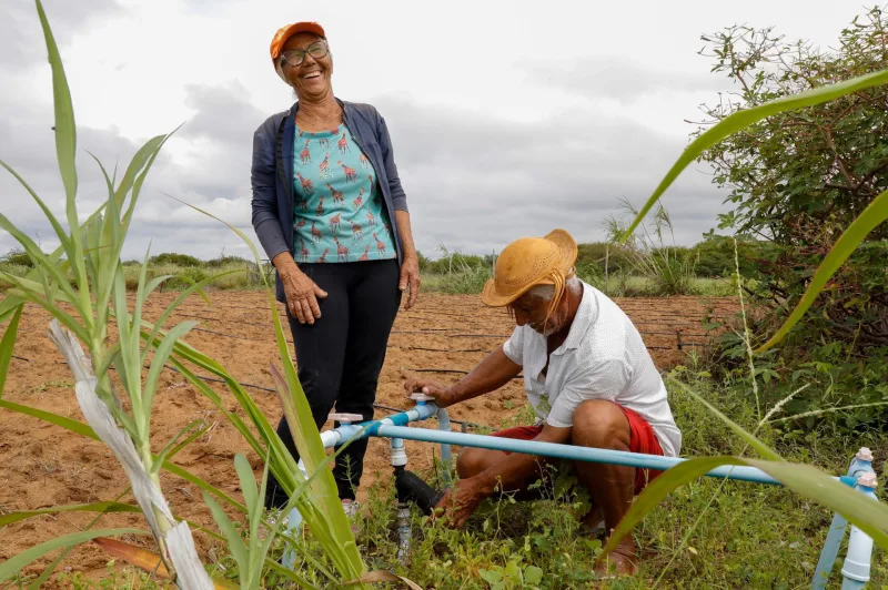 Bahia celebra o Dia Mundial do Meio Ambiente com avanços em sustentabilidade, conservação e geração de renda