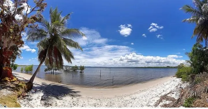 Bahia celebra o Dia Mundial do Meio Ambiente com avanços em sustentabilidade, conservação e geração de renda