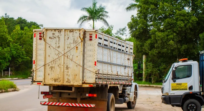 Parceria com PRF reforça fiscalização de animais em vias públicas de Teixeira de Freitas