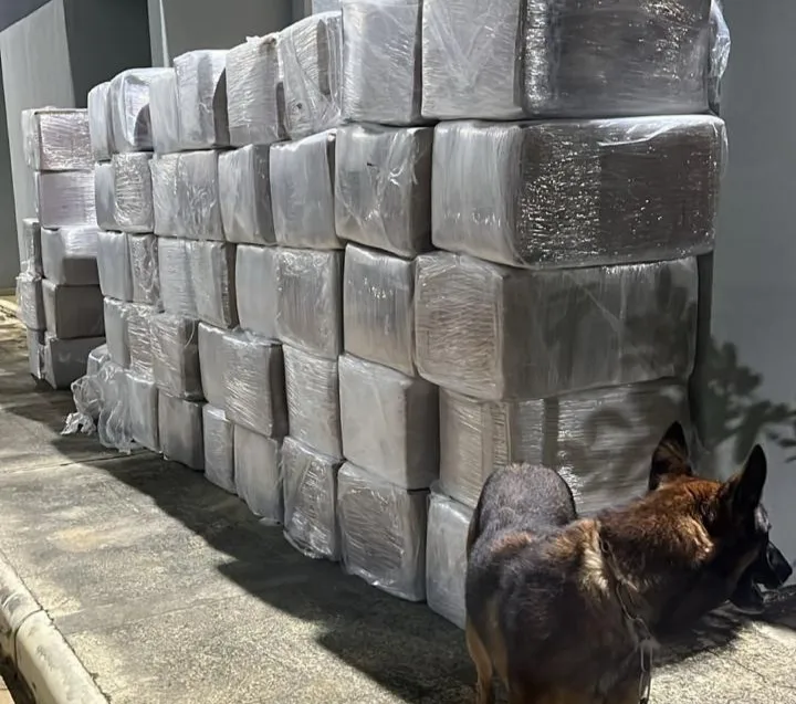 Caminhão com 3 toneladas de maconha é interceptado em operação na BR-116